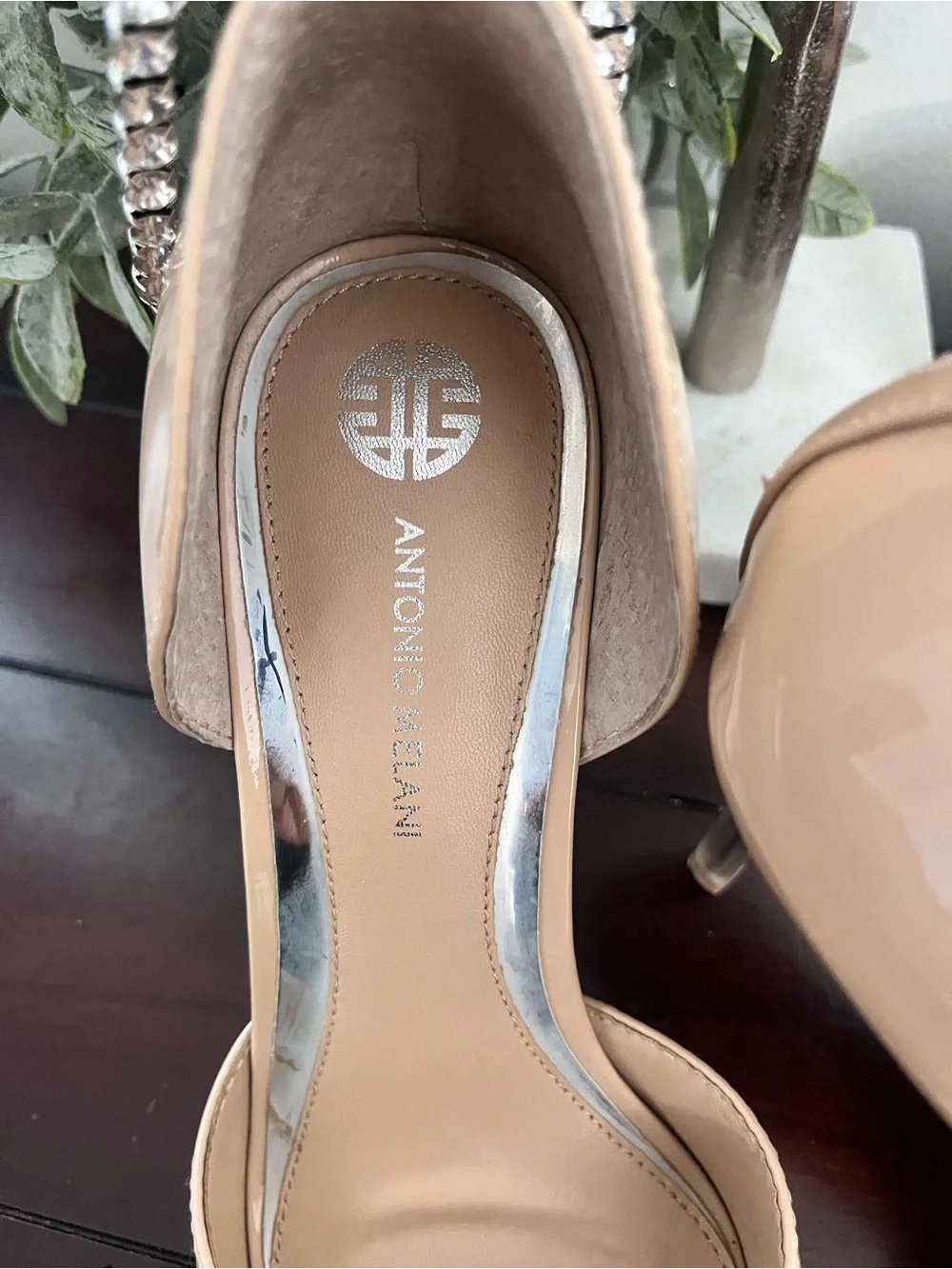 ANTONIO MELANI Nude Patent Pointed-Toe Stiletto with Crystal Anklet
